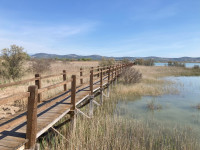Vransko Jezero - Crkvine Boardwalk